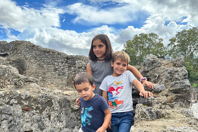 Best Pompeii Private Tour from Naples Port or Hotel Pick Up - What to Expect Day-Of: Walking, Timing, and Comfort