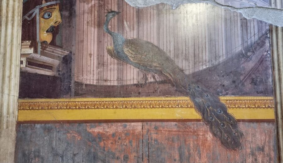Campania: Pompei+Herculaneum+Vesuvius audio guide - Naples city center walks: good for pacing after ruins