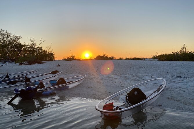 Clear Kayak Guided Eco Tour in North Naples - Key things I’d book for