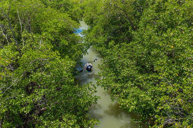 Clear Kayak Guided Eco Tour in North Naples - Meeting at Cocohatchee River Marina and What to Expect on Arrival