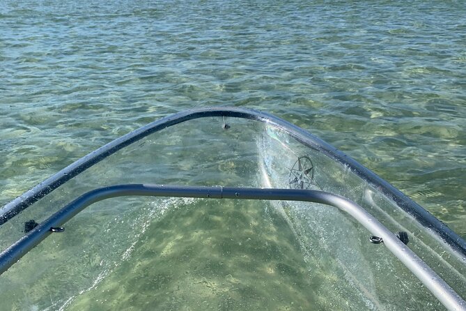 Clear Kayak Guided Eco Tour in North Naples - Wildlife Odds: Dolphins, Manatees, and How to Think About Success