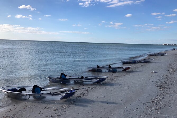 Clear Kayak Guided Eco Tour in North Naples - Gear, Safety, and Fitness: Simple Rules That Keep This Chill
