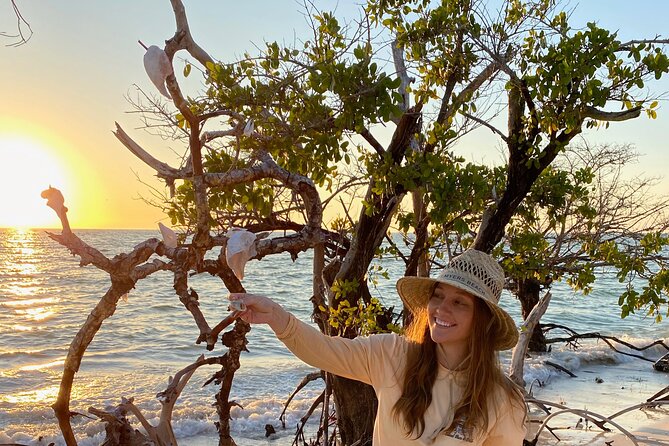 Clear Kayak Guided Eco Tour in North Naples - Who This Tour Fits Best in North Naples
