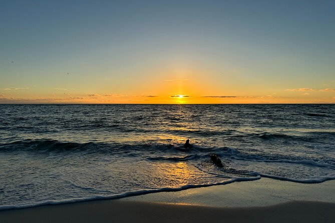 CLEAR Kayak Sunset & Light Tour - Bonita Springs / Ft Myers Beach - That Glow-Up: LED Kayak Lights and the Return Paddle