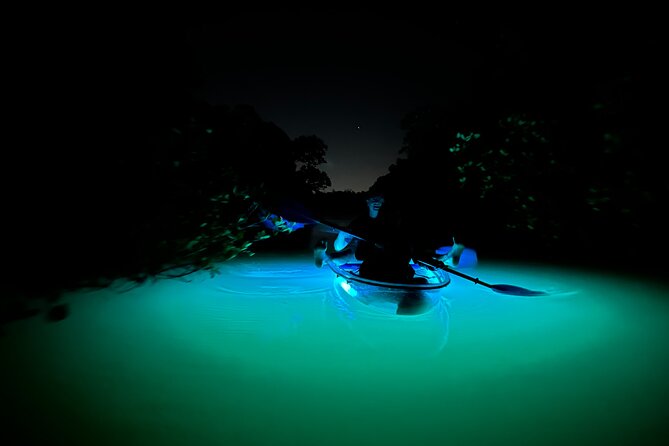 CLEAR Kayak Sunset & Light Tour - Bonita Springs / Ft Myers Beach - Who This Tour Fits Best (and Who Might Want Another Option)
