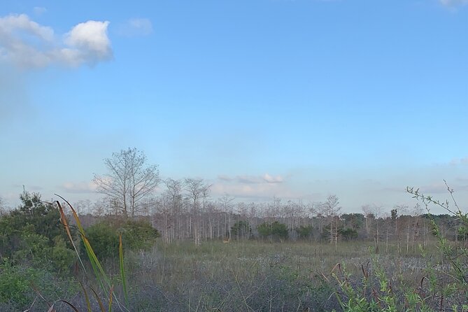 Dark Sky's in the Florida Everglades - The Everglades’ dark sky is the point (and it’s better this way)