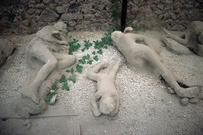 Daytrip from Naples port to Pompei, Sorrento & Positano - Archaeology stop: Parco Acheologico di Ercolano (if you choose Ercolano instead)