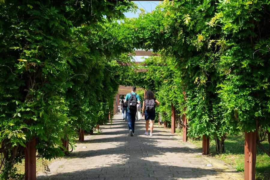 Discover Herculaneum: A guided tour of the ancient Roman city - A Roman City Frozen by Vesuvius