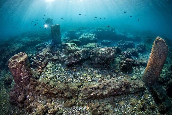 Discover Scuba Diving in the Bay Submerged Park - Key Highlights You’ll Actually Notice