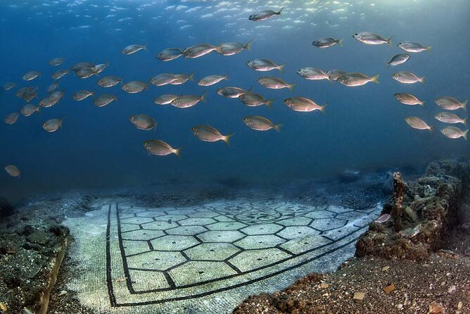 Discover Scuba Diving in the Bay Submerged Park - Price and Value: Is $108 a Good Deal?