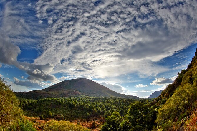 Discovering the Vesuvius - VIP tour / Small group - Small-Group Comfort and Round-Trip Luxury Transport