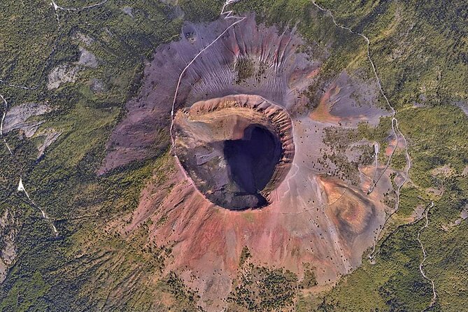 Discovering the Vesuvius - VIP tour / Small group - Vesuvius National Park: Crater Admission and Time on the Top