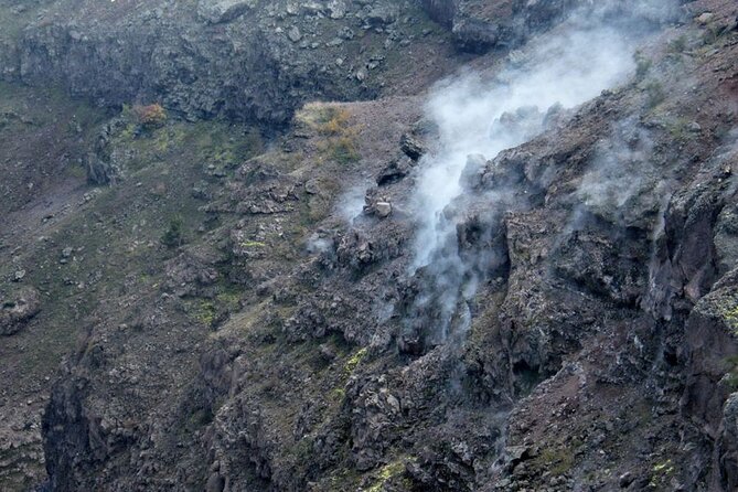 Discovering the Vesuvius - VIP tour / Small group - Volcanologist Commentary: Turning Views into Real Understanding
