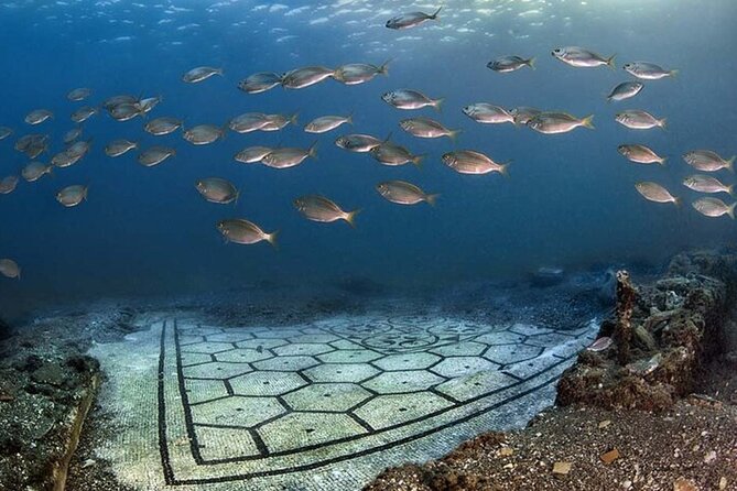 Diving at the Baia Submerged Park for certified divers - Price and value: what $99.94 covers (and what costs extra)