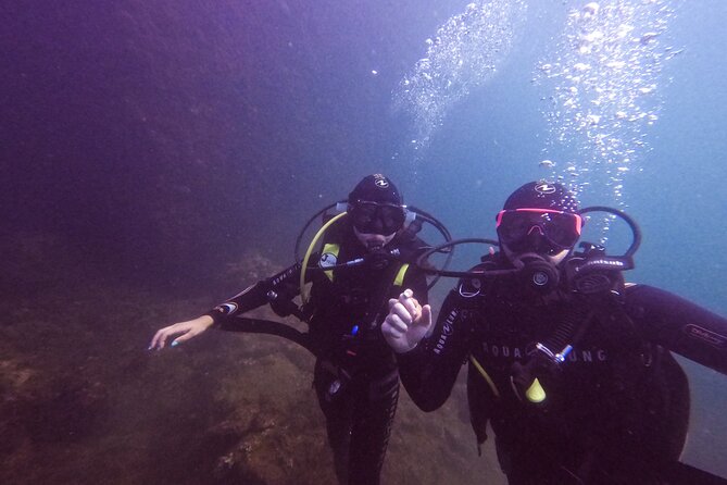 Diving at the Baia Submerged Park for certified divers - Gear, briefing, and safety: the guides who earn trust fast