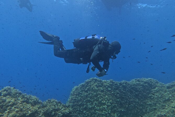 Diving at the Baia Submerged Park for certified divers - Sunken-city route: from Tempio di Venere to Terme di Baia