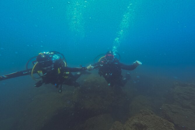 Diving at the Baia Submerged Park for certified divers - Underwater highlights: mosaics, a sauna, and marine life up close