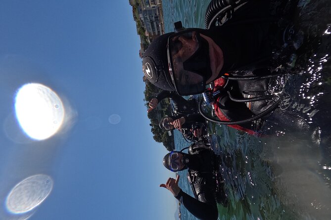 Diving at the Baia Submerged Park for certified divers - Depth, comfort, and certification: who this fits best