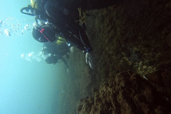 Diving at the Baia Submerged Park for certified divers - Best time to go (and how to pair it with Naples-area plans)