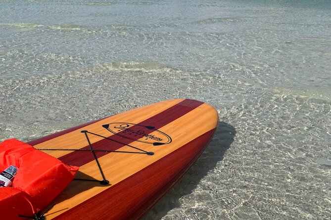 Dolphin and Manatee Adventure Tour of Naples with Florida History - How Mangroves, Birds, and Local History Fit Together