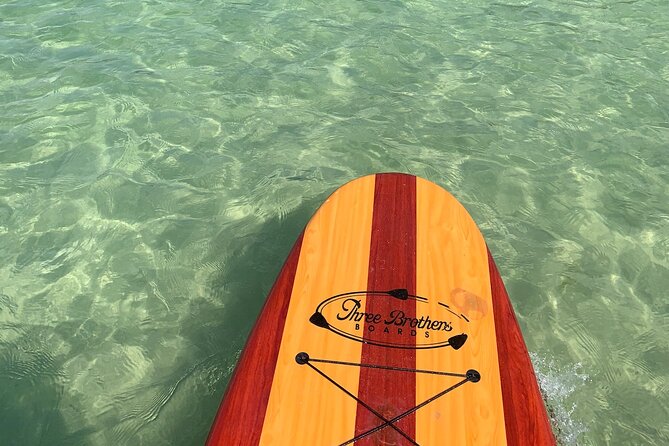 Dolphin and Manatee Adventure Tour of Naples with Florida History - What to Pack for a Comfortable Paddle in Naples