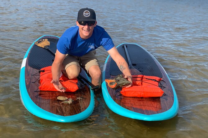 Dolphin and Manatee Tour of Marco Island by Kayak or SUP - Key things to know before you go