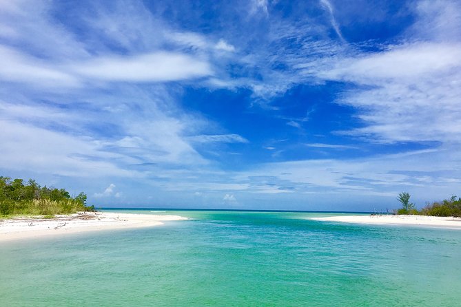 Dolphin and Shelling Cruise for up to 12 people - Ten Thousand Islands in 2.5 hours: why it hits so hard