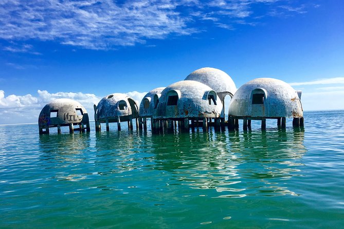 Dolphin and Shelling Cruise for up to 12 people - Shelling on an isolated barrier island: your best strategy for finds