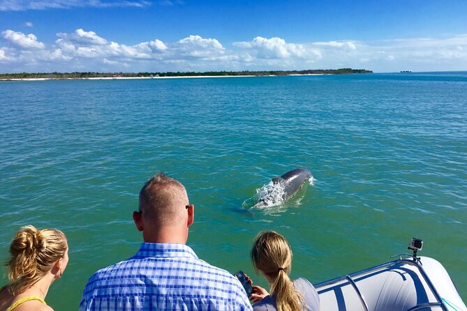 Dolphin and Shelling Cruise for up to 12 people - How the morning vs afternoon choice changes the vibe