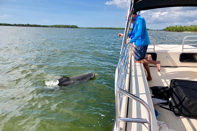 Dolphin and Shelling Cruise for up to 12 people - Price and value: what $109 buys you in real terms