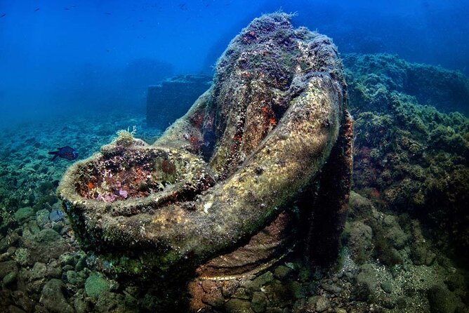 Double Dive in the Bay Park for certified divers - Key points if you’re deciding