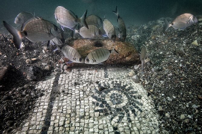 Double Dive in the Bay Park for certified divers - Marine life expectations: what you should and shouldn’t look for