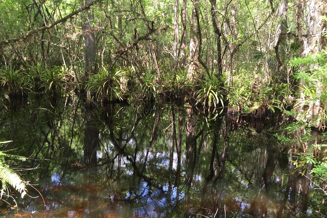 E-Bike Adventure - Fakahatchee Strand - East River Canoe Launch: Brackish Water and Tidal Clues