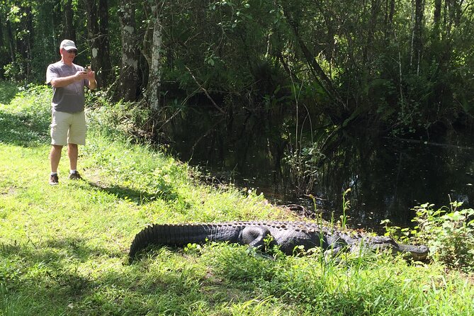 E-Bike Adventure - Fakahatchee Strand - Janes Memorial Scenic Drive: 6 Miles of Dirt and a Vehicle-Free Stretch