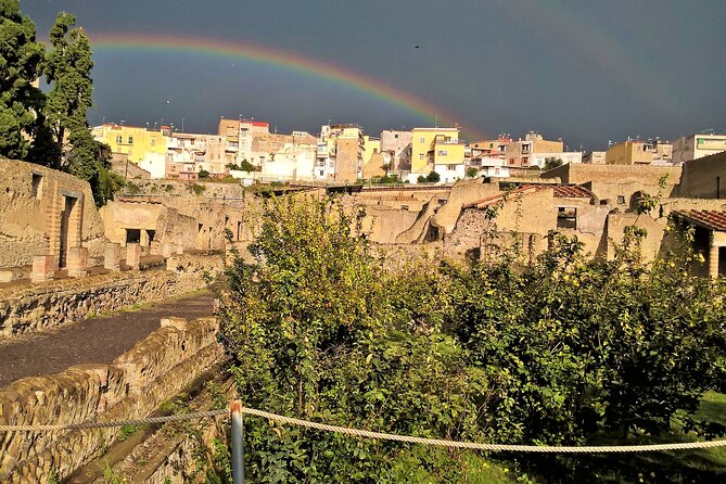Easy Hercunaleum - Private tour (skip-the-line) - Parco Acheologico di Ercolano: the real payoff of a private guide
