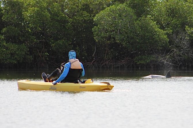 Easy Ride Pedal Kayak Tour Marco Island & Naples (Pedal or Paddle - Why pedal beats paddle for Marco Island mangroves