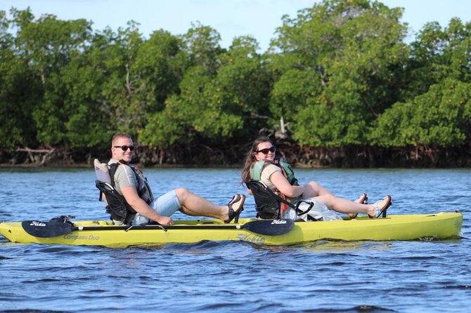 Easy Ride Pedal Kayak Tour Marco Island & Naples (Pedal or Paddle - What the guide actually does with you: Rammel’s ecosystem storytelling