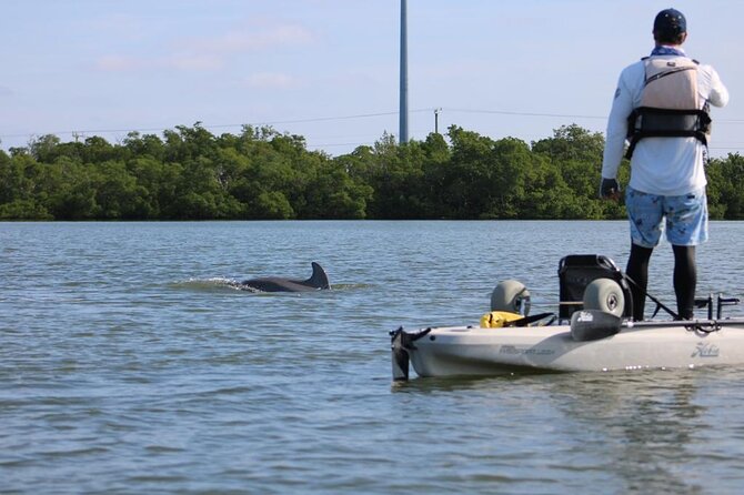 Easy Ride Pedal Kayak Tour Marco Island & Naples (Pedal or Paddle - Who should book this Naples and Marco Island kayak tour