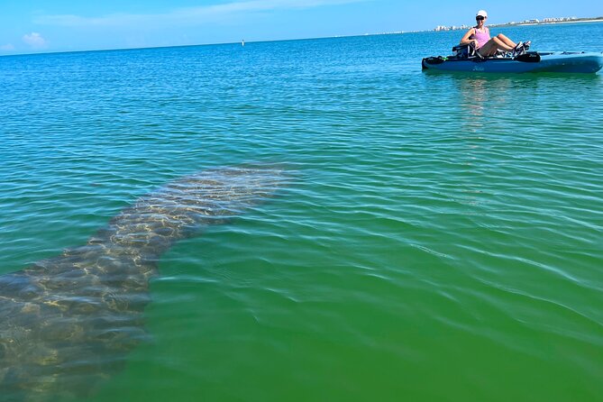 Elite Hobie Kayak Experience: Ultimate Premium Eco Adventure! - Key things to know before you go