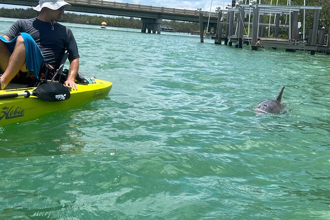 Elite Hobie Kayak Experience: Ultimate Premium Eco Adventure! - Practical Tips for Getting the Most From Your Kayak Time