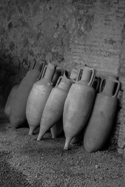 ERCOLANO: ENTRANCE TICKET - SKIP THE LINE WITH OPTIONAL TRANSFER - Ercolano Scavi skip-the-line: what this ticket really does