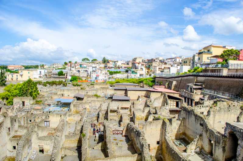 Ercolano: Herculaneum Entry Ticket with Optional Audio Guide - Ticket value at about $21: what you get for your money