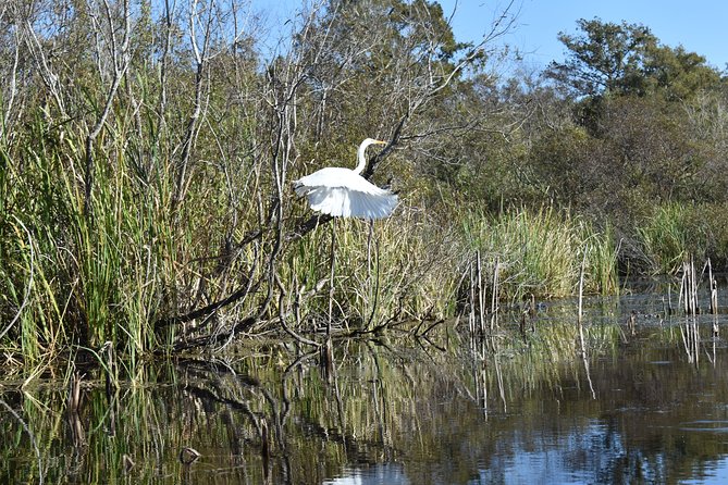 Everglades Guided Kayak Tour - Arrive at Ivey House and Get Your Bearings
