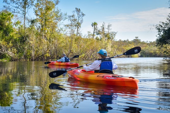 Everglades Guided Kayak Tour - Big Cypress National Preserve: What the Guide Brings to the Trip