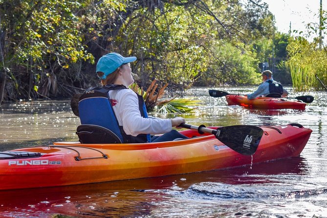 Everglades Guided Kayak Tour - Wildlife Chances on the Turner River (and Why It Varies)