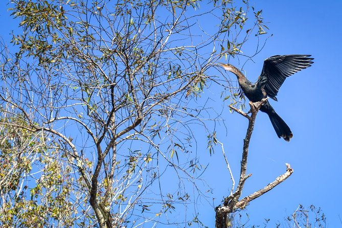 Everglades Guided Kayak Tour - What to Bring for a Comfortable 3–4 Hours