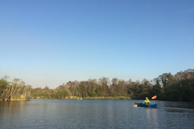 Everglades Kayak Safari Adventure Through Mangrove Tunnels - Mangrove tunnels: the kind of scenery that rewards slow paddling