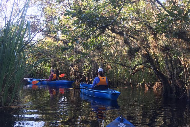 Everglades Kayak Safari Adventure Through Mangrove Tunnels - Gear and comfort: why the dry boxes matter more than you think