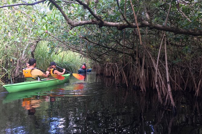 Everglades Kayak Safari Adventure Through Mangrove Tunnels - Price and value: is $89 fair for a 4-hour guided kayak?