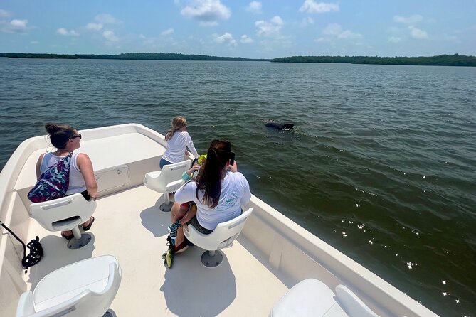 Everglades Mangrove Wilderness Boat Tour - A Quieter Alternative to Airboats (And Why That Matters)